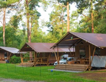 Les campings écoresponsables gagnent en popularité : comment l’écotourisme influence les choix des vacanciers !